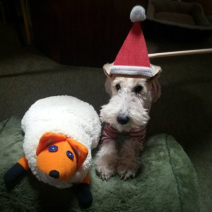 B7017039 70c9 42e9 a82a 9d5c6d050398 1514112005006