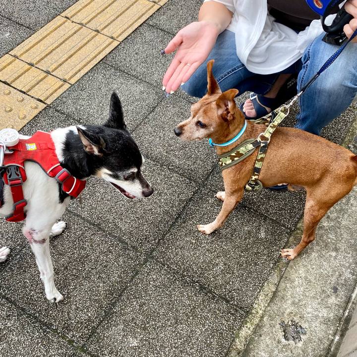 B701a39f 8e33 44e4 be20 71bf84745eb2 1625360075024