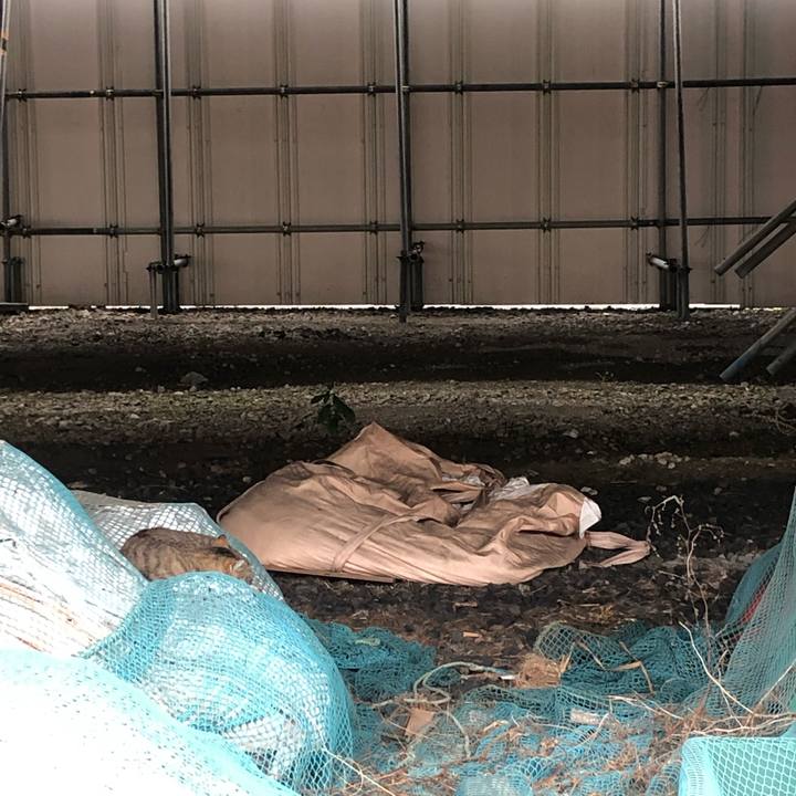 B701c780 35fa 486a 9858 8a63c16907d3 1629273051919