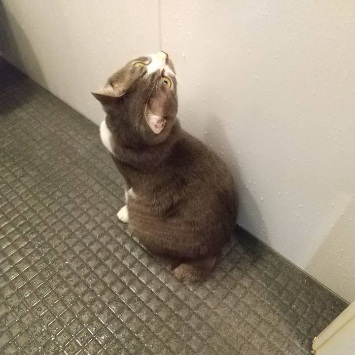 B7021dd1 f939 4331 89db fc4b58bffb21 1612128352040