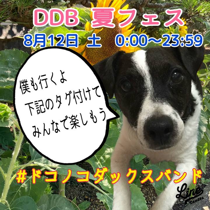 B70221ed 1335 4f58 9846 bf73f91802a6 1691503769477