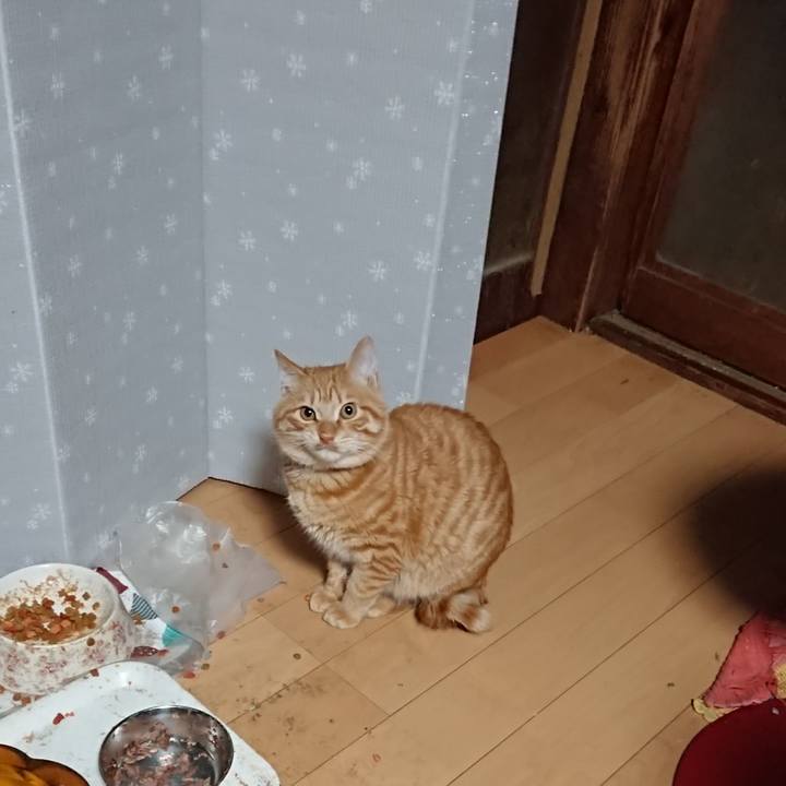 B70261f9 6681 4c0b aa84 53e096638484 1640206994245