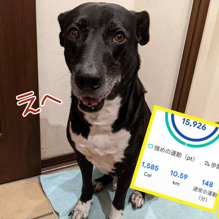 B702bb1a e3bc 48b0 ab21 f170fdab232a 1708427356407