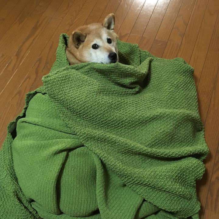 B7033434 757a 4a25 ade8 48f2c13d968d 1513380969657