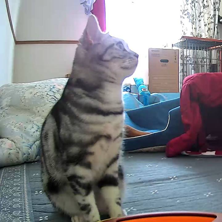 B7034e02 e2b1 4a6d afe4 f01111acdbef 1554538331144