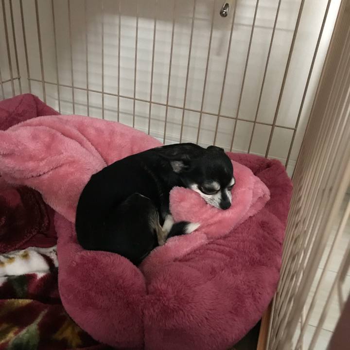 B7035cef 75c7 47e7 a086 50cdcb33fb2e 1519184228336