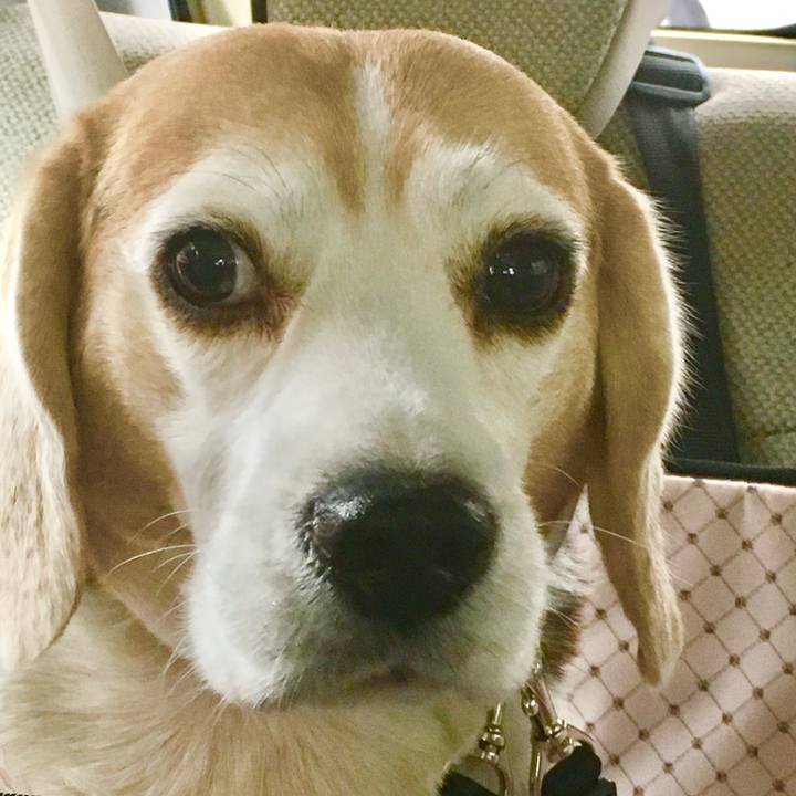 B7038039 3adb 41c7 879d 86ad1eb4fec7 1763610120947