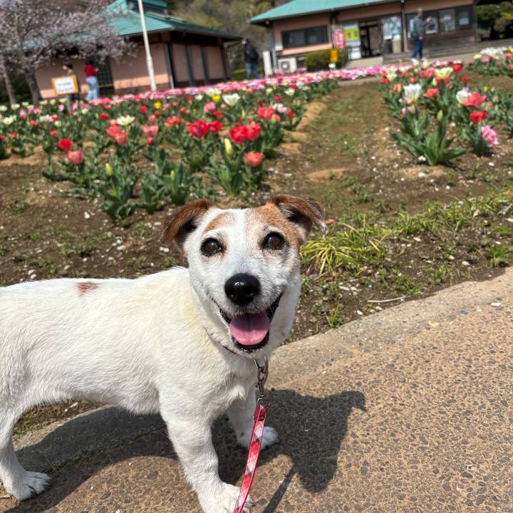 B703a733 12f9 4e08 9f86 dd25dc3e3a21 1774789595582