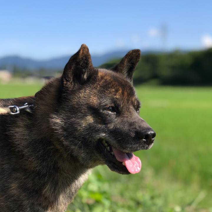 B703aa2c 056e 4af6 a7b1 31304f9893be 1560339140136