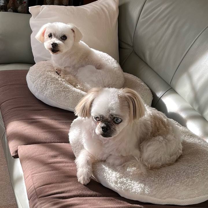 B703b1d6 5ee6 45a1 a506 fc2838a13546 1708065929962