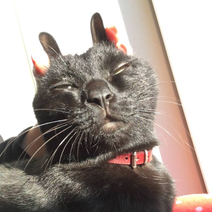 B703c4c1 c863 4a96 92c7 1ea73f2d0901 1510011261411