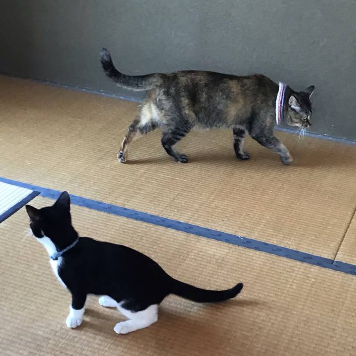 B703c812 ac49 40f3 ba9f afc3083e7ec1 1627089558378