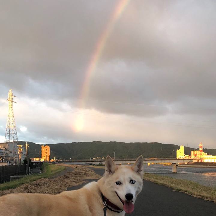 B703e73e 4544 469b 9360 8cfaa497a310 1755078408606