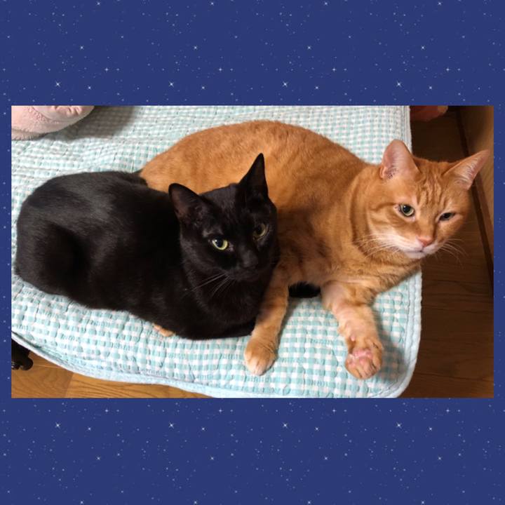 B7044da5 89e2 4124 b5b6 38232d8844fa 1736547520124