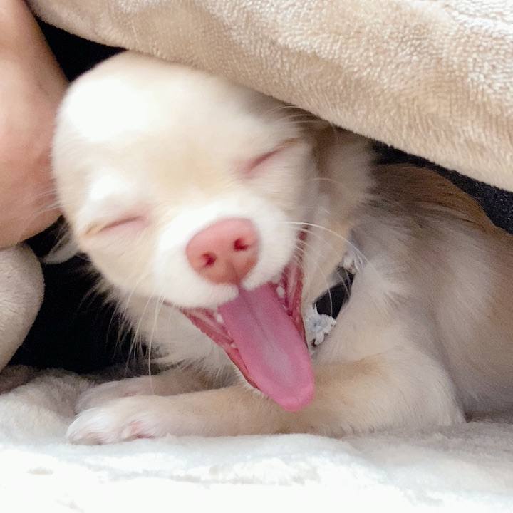 B7048d70 5eeb 4a5b af52 66f08d94d38a 1608080582291