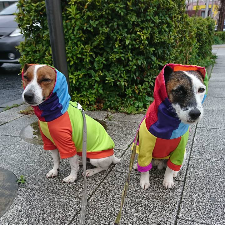 B7050b29 d9a1 47cd 9f32 d0de9c5b7ec7 1616289886149