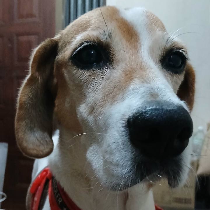 B7053b6a 5589 490f 8932 a693e4b9aac3 1759910556821