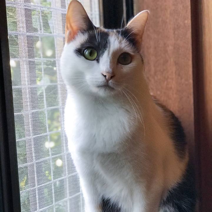 B7054341 9d61 4427 9012 47d0c3a32eb4 1509413948373