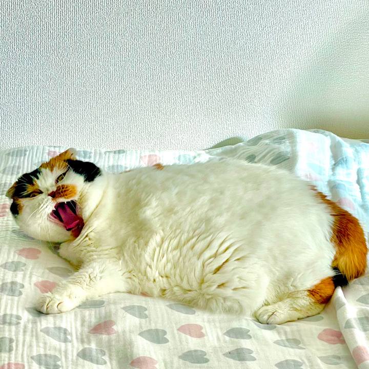 B7054af7 0ce7 4533 a378 e978570496c6 1642988132605