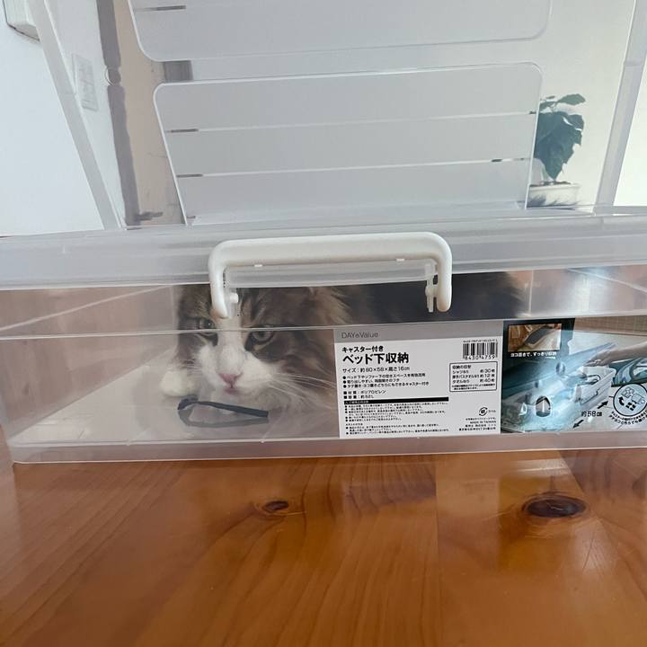 B7055688 7132 4b73 b636 3a925e5458af 1670740937870