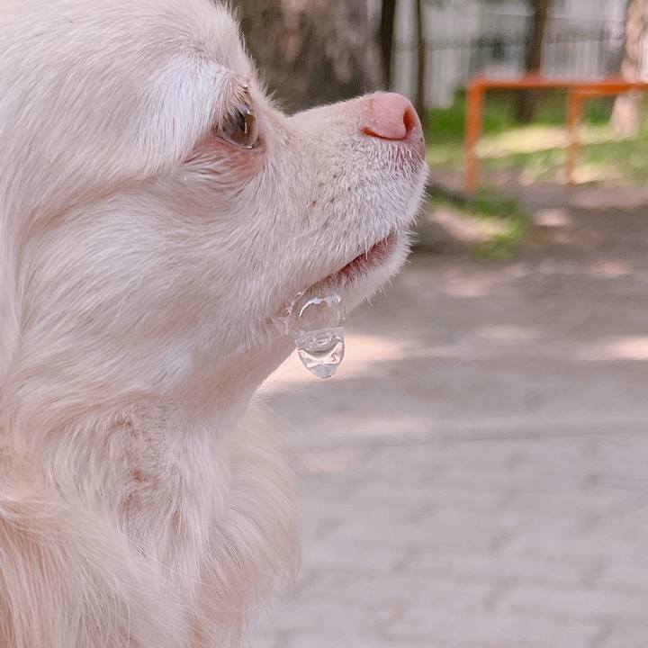 B70563cb 88bc 4acc 92a7 87f0d68f0dbd 1651570007480