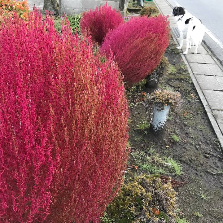 B705ac18 19f8 4cd0 87ee 7ec209763e6e 1541856964191