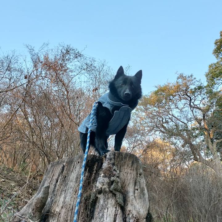 B705de67 d827 44fa a985 04696475f208 1711056839351