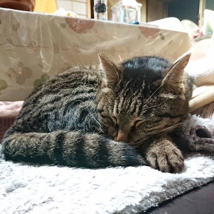 B705e7bc 1ea8 4a62 95f5 2ae96d9adee9 1641904739313