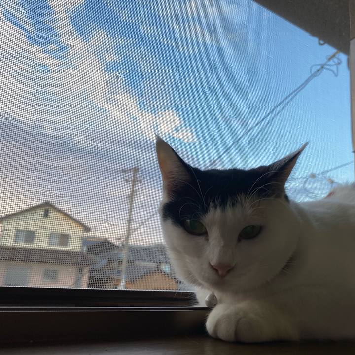 B705f319 7dff 456d bc84 49bd6b0f7043 1662586099484