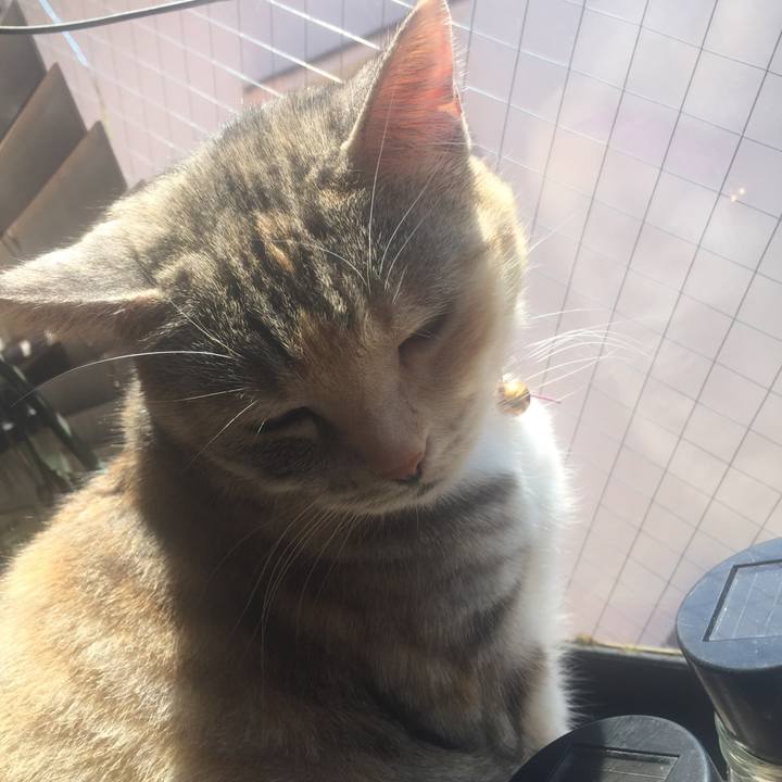 B7064424 0530 46b4 aedb be635bbf2125 1555122957990