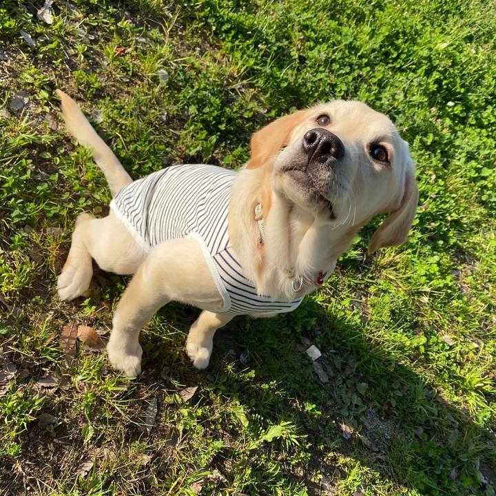 B70657c4 b7a8 43ee a3c6 00708b7dbdf7 1616662883654