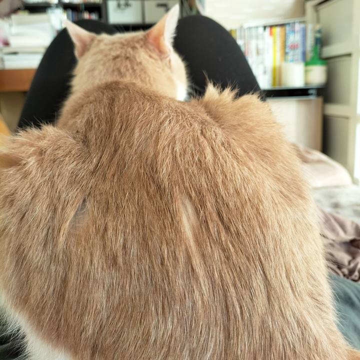 B706a0a7 54f1 44d2 a6e4 afbf1171bdde 1673737087876