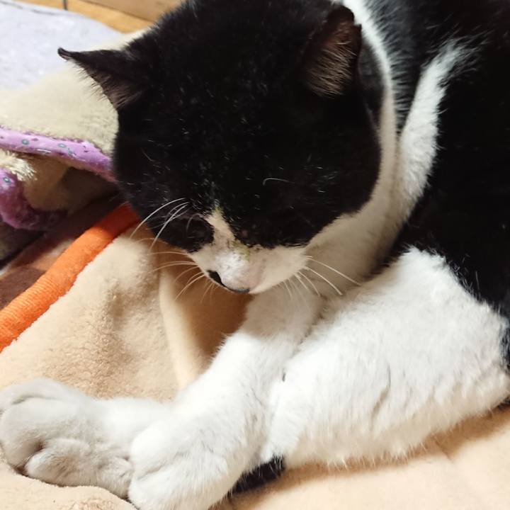 B706e0e1 32f1 4780 94c5 a50cd285f0d8 1605100195845