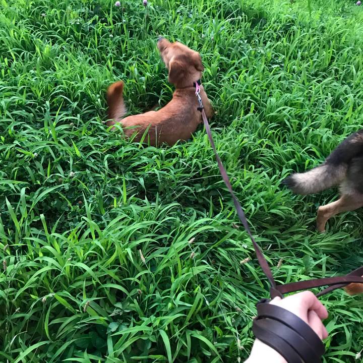 B7070c13 e2ab 46a2 87f5 790e44c14f66 1531737379916