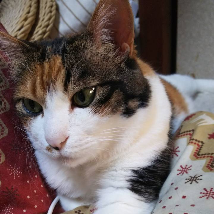 B7073c4d 6314 4e59 a5a0 2c681269bb3b 1558826720488