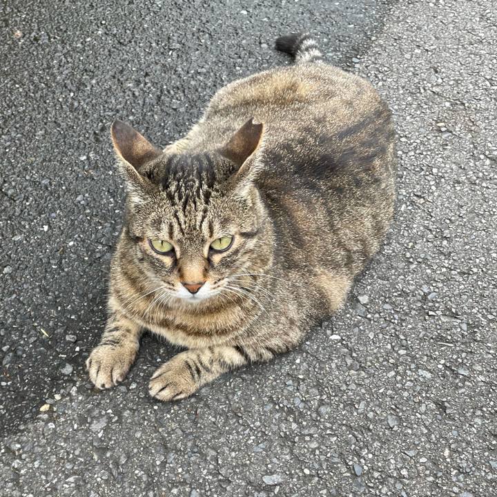 B707421f fd21 428d b29c 19f007fac8cb 1626340645620