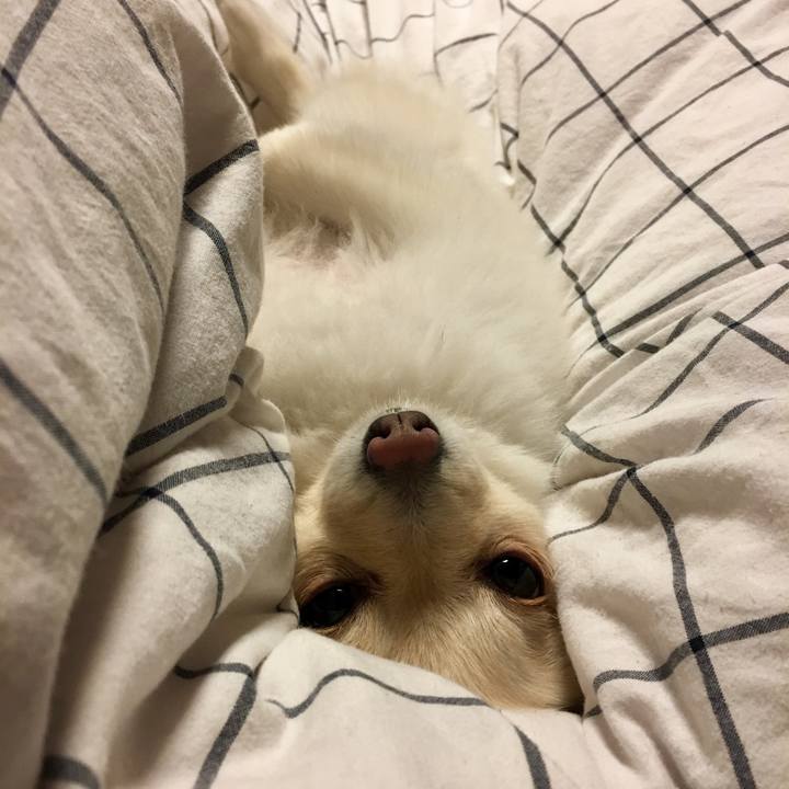 B7074e22 3e71 4e79 98e7 e0de69e085ba 1542892981776