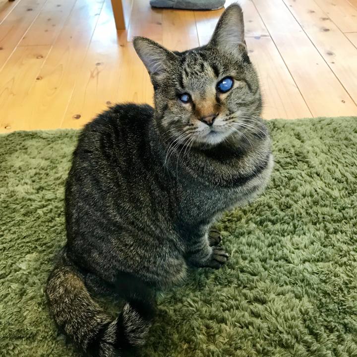 B7077f72 2a13 4c3b bd0d 523af266bccc 1553993339962