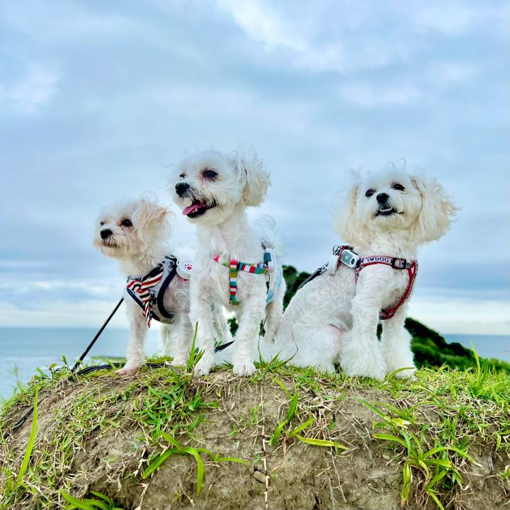 B70796c5 ea6a 45e7 931c 4b7a5d602e08 1660813655906