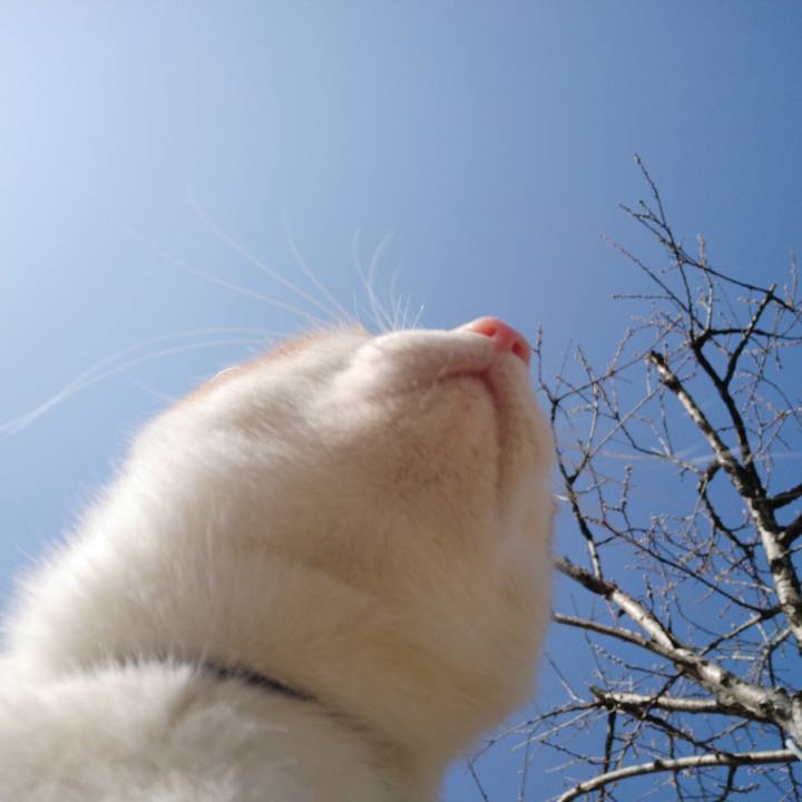 B707b331 61e8 4c26 9c54 cef5db3d6e86 1522456771913