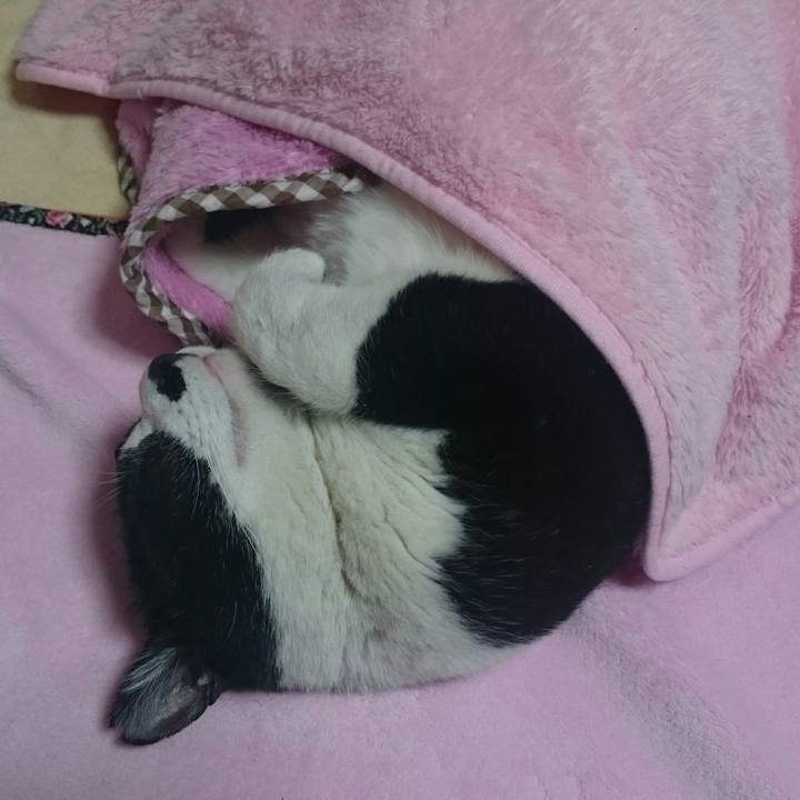 B7081c3f 90f8 4e6f b48e 20e133008c8f 1518007354840