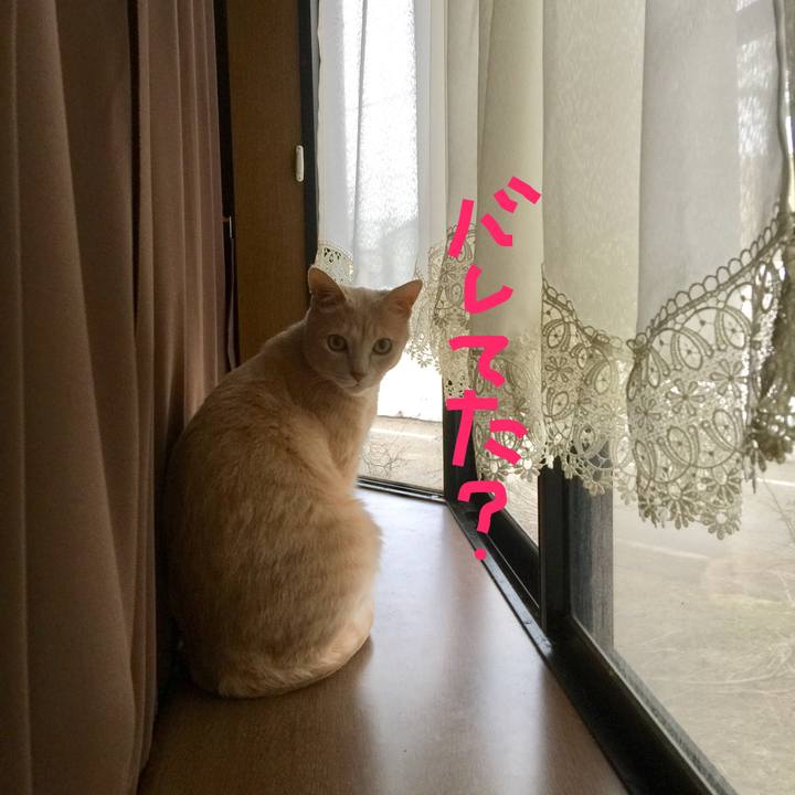 B7083e50 c8ff 42a3 9c37 8bdb0bb1db95 1521362609604