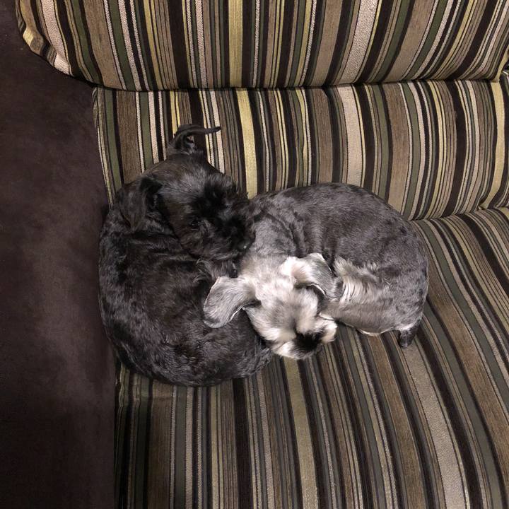 B70848f4 0801 4568 8957 575d05f3b18a 1521897943581