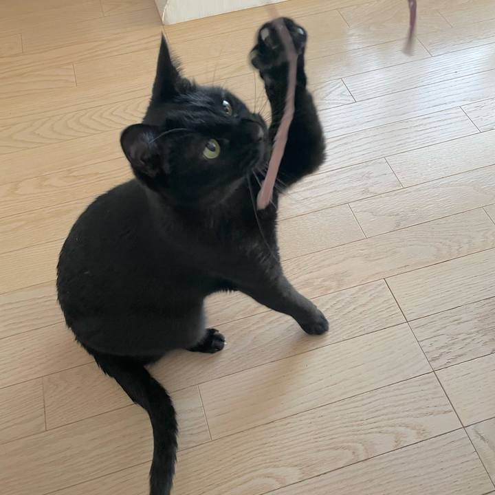 B7084d09 6656 44c9 9d8a d36000e90860 1673524202093