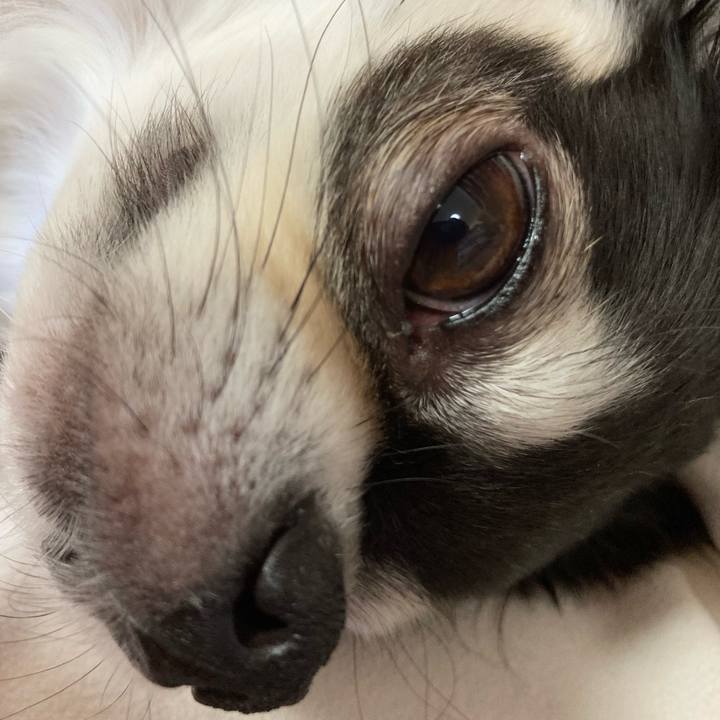 B7086aab 0223 48f3 bbf0 9c6108521d28 1675608869552