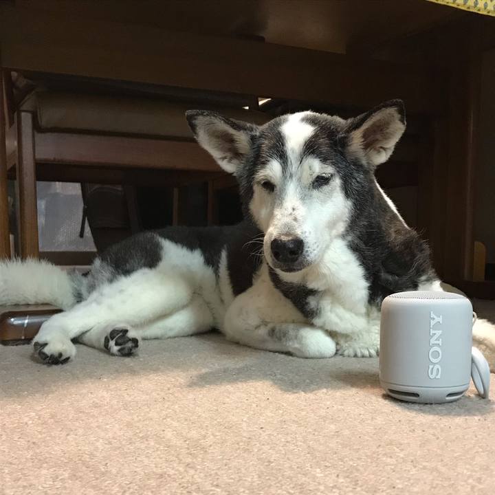 B70882eb bb4e 46a8 a680 05bec666a81d 1570846270306