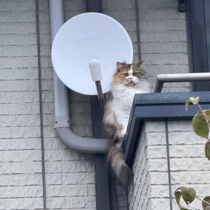 B708e400 a2eb 4f6e 8e65 7334677d7926 1759804571327