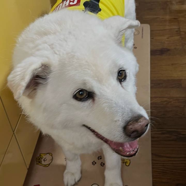 B7093d65 cb10 4074 aedf a3904938a100 1774658664994