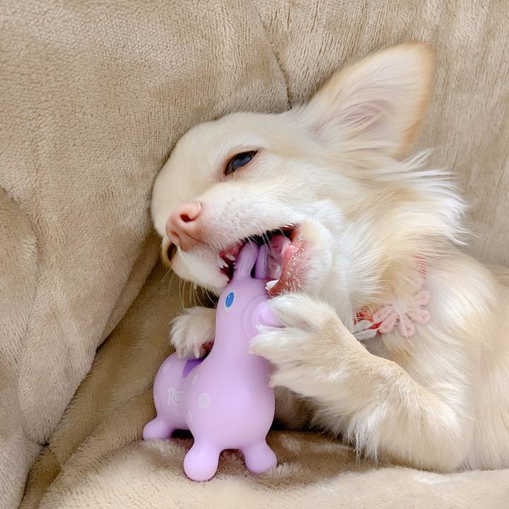 B709761a cb8d 45ac b3e7 b04c1d758553 1615092806900