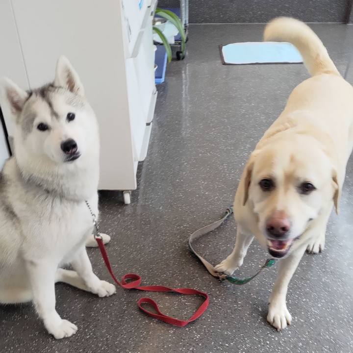 B7097d13 71bd 4345 846d e0812872c6be 1670138368816